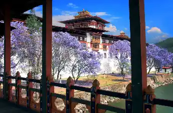 Punakha Dzong (1)