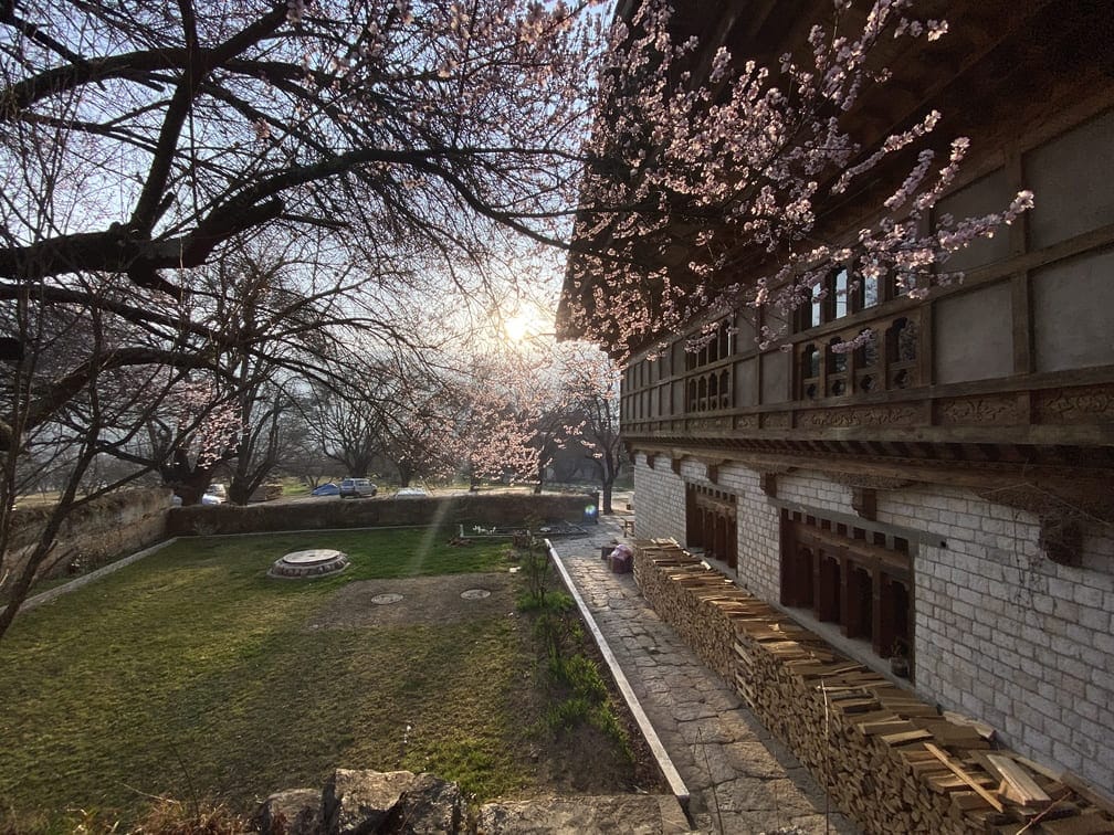 Swiss Guest House