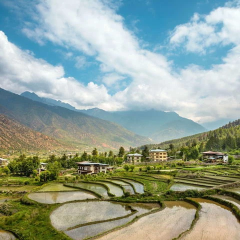 COMO Uma Punakha