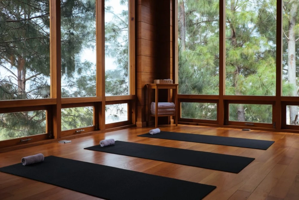 Intime Yoga-Ecke mit Yogamatten auf Holzfußboden und ruhigem Waldpanorama.