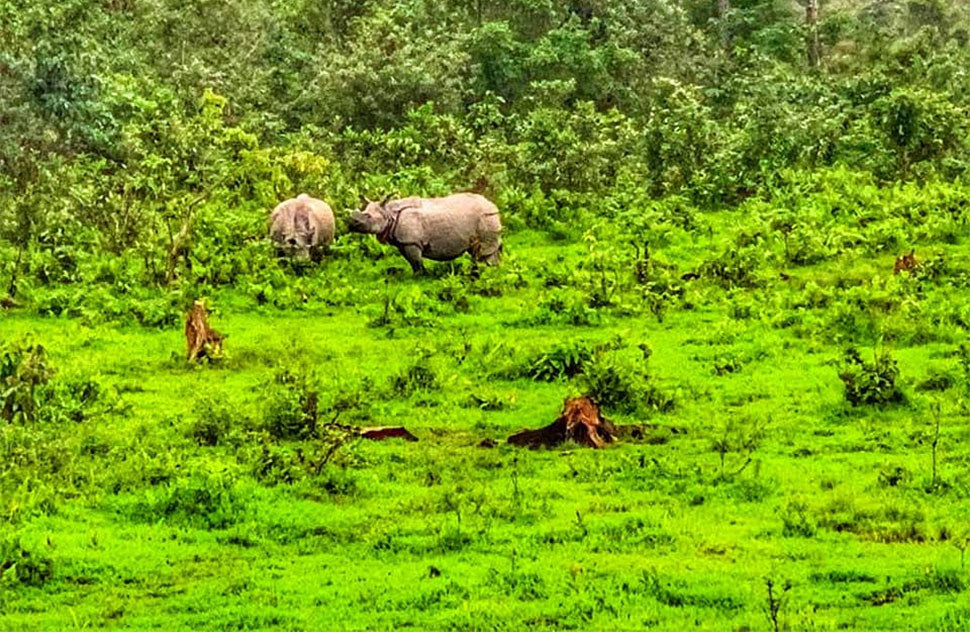 Panbang Eco Lodge