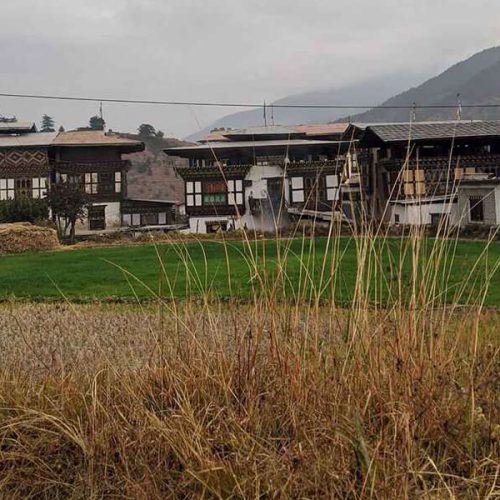 Chimi Lhakhang Village Homestay