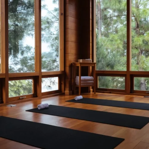 Intime Yoga-Ecke mit Yogamatten auf Holzfußboden und ruhigem Waldpanorama.