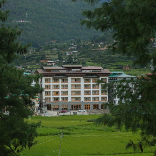 Kaachi grand