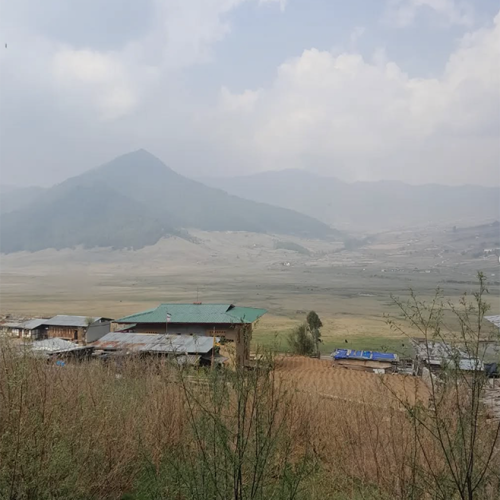 Karma-Wangmo-Homestay