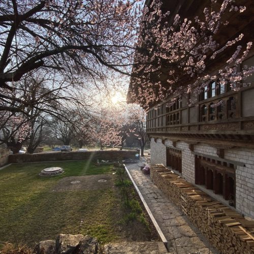 Swiss Guest House